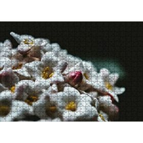 Cakapuzzle Beyaz Çiçeklerin Arasındaki Asi Pembe 120 Parça Ahşap Puzzle