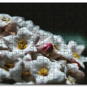 Cakapuzzle Beyaz Çiçeklerin Arasındaki Asi Pembe Mdf 1000 Parça Puzzle