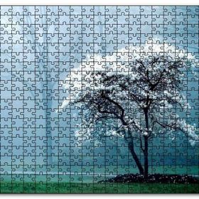 Cakapuzzle Beyaz Çiçekli Ağaç ve Arkada Sisli Orman Mdf 1000 Parça Puzzle