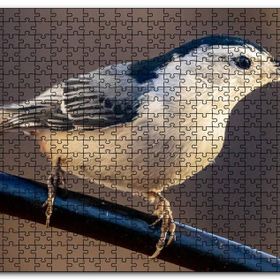 Cakapuzzle Beyaz Göğüslü Sıvacı Kuşu Görseli Mdf 120 Parça Puzzle