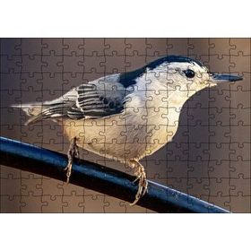 Cakapuzzle Beyaz Göğüslü Sıvacı Kuşu Görseli Mdf 120 Parça Puzzle