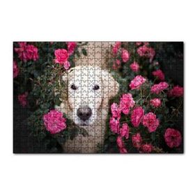 Cakapuzzle Beyaz Golden Retriever Çiçekler Arasında 120 Parça Ahşap Puzzle