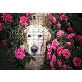 Cakapuzzle Beyaz Golden Retriever Çiçekler Arasında 120 Parça Ahşap Puzzle