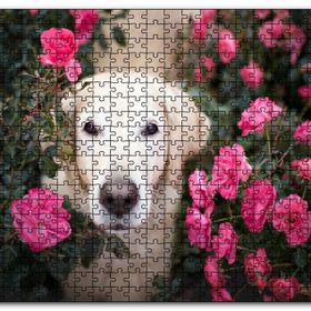 Cakapuzzle Beyaz Golden Retriever Çiçekler Arasında Mdf 120 Parça Puzzle