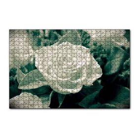 Cakapuzzle Beyaz Güller Görseli 120 Parça Ahşap Puzzle
