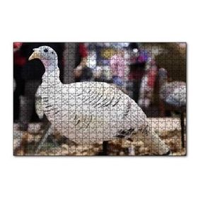 Cakapuzzle Beyaz Hindi Biblo 120 Parça Puzzle