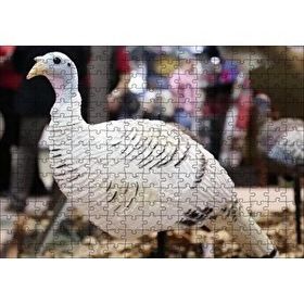 Cakapuzzle Beyaz Hindi Biblo 255 Parça Puzzle