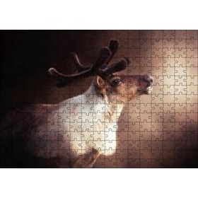 Cakapuzzle Beyaz Kahve Rengi Geyik Görseli 120 Parça Ahşap Puzzle