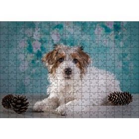 Cakapuzzle Beyaz Kahverengi Tüylü Terrier 120 Parça Ahşap Puzzle
