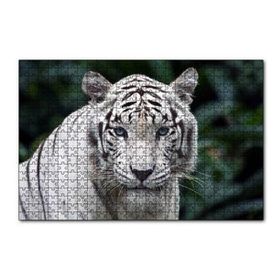Cakapuzzle Beyaz Kaplan Hayvanat Bahçesinde 120 Parça Ahşap Puzzle