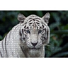 Cakapuzzle Beyaz Kaplan Hayvanat Bahçesinde 120 Parça Ahşap Puzzle