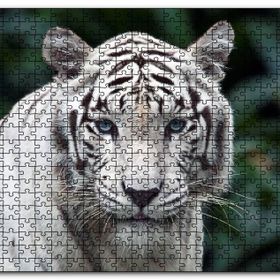 Cakapuzzle Beyaz Kaplan Hayvanat Bahçesinde Mdf 120 Parça Puzzle