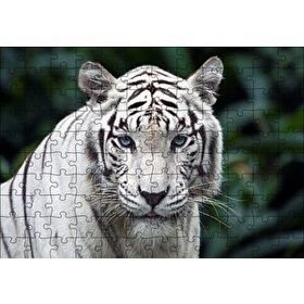 Cakapuzzle Beyaz Kaplan Hayvanat Bahçesinde Mdf 120 Parça Puzzle