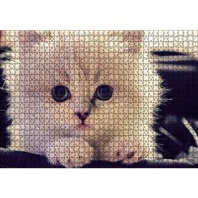 Cakapuzzle Beyaz Kedi 120 Parça Ahşap Puzzle