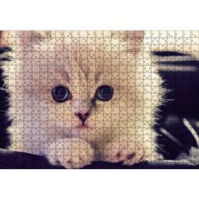 Cakapuzzle Beyaz Kedi 120 Parça Ahşap Puzzle