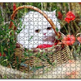 Cakapuzzle Beyaz Kedi Sepet İçinde Doğada Mdf 1000 Parça Puzzle