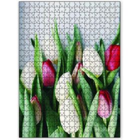 Cakapuzzle Beyaz Kırmızı Lale Çiçekleri 1000 Parça Puzzle