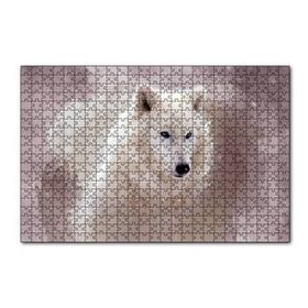 Cakapuzzle Beyaz Kurt Puslu Zemin Görseli 120 Parça Ahşap Puzzle