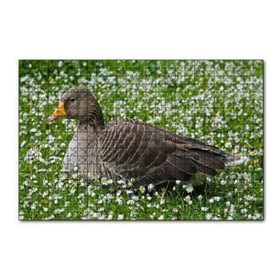 Cakapuzzle Beyaz Papatyalar Arasındaki Kaz 120 Parça Ahşap Puzzle
