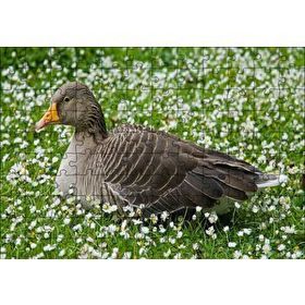 Cakapuzzle Beyaz Papatyalar Arasındaki Kaz 120 Parça Ahşap Puzzle