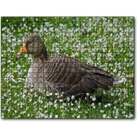 Cakapuzzle Beyaz Papatyalar Arasındaki Kaz Mdf 255 Parça Puzzle