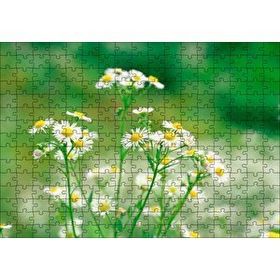 Cakapuzzle Beyaz Papatyalar Flu Arkaplan 120 Parça Ahşap Puzzle