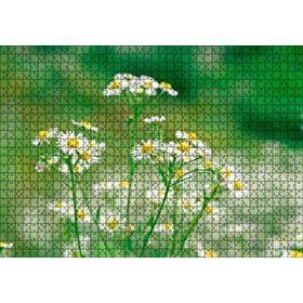 Cakapuzzle Beyaz Papatyalar Flu Arkaplan 120 Parça Ahşap Puzzle