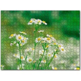Cakapuzzle Beyaz Papatyalar Flu Arkaplan Mdf 500 Parça Puzzle