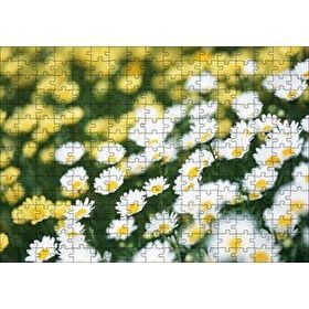 Cakapuzzle Beyaz Papatyalar ve Arkada Flu Sarı Papatyalar Mdf 255 Parça Puzzle