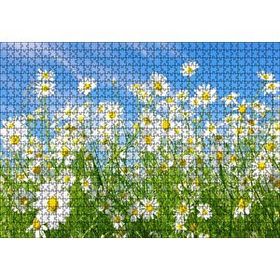 Cakapuzzle Beyaz Papatyalar ve Mavi Gökyüzü 120 Parça Ahşap Puzzle