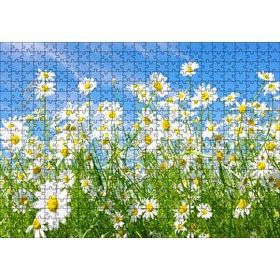 Cakapuzzle Beyaz Papatyalar ve Mavi Gökyüzü 120 Parça Ahşap Puzzle