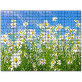 Cakapuzzle Beyaz Papatyalar ve Mavi Gökyüzü 255 Parça Puzzle