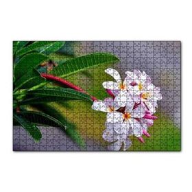Cakapuzzle Beyaz Sarı Plumeria Çiçeği Görseli 120 Parça Ahşap Puzzle