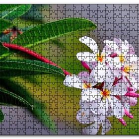 Cakapuzzle Beyaz Sarı Plumeria Çiçeği Görseli Mdf 120 Parça Puzzle