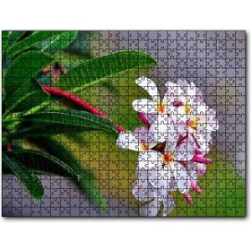Cakapuzzle Beyaz Sarı Plumeria Çiçeği Görseli Mdf 120 Parça Puzzle