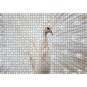 Cakapuzzle Beyaz Tavus Kuşu Görseli 1000 Parça Puzzle