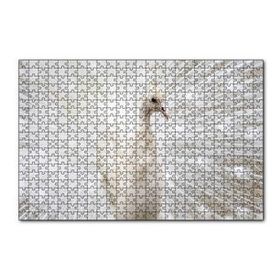 Cakapuzzle Beyaz Tavus Kuşu Görseli 120 Parça Ahşap Puzzle