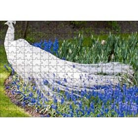 Cakapuzzle Beyaz Tavus Kuşu Görseli 120 Parça Ahşap Puzzle