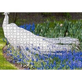 Cakapuzzle Beyaz Tavus Kuşu Görseli 120 Parça Ahşap Puzzle