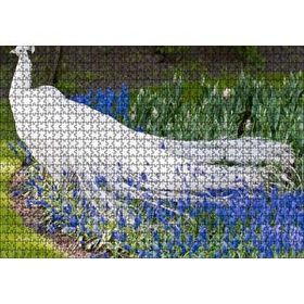 Cakapuzzle Beyaz Tavus Kuşu Görseli 120 Parça Ahşap Puzzle