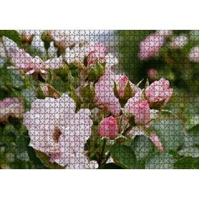 Cakapuzzle Beyaz ve Pembe Gonca Güller ve Yapraklar 120 Parça Ahşap Puzzle