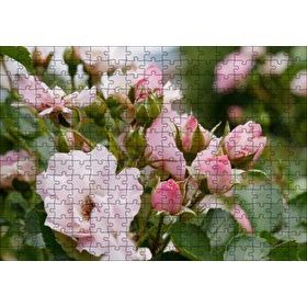 Cakapuzzle Beyaz ve Pembe Gonca Güller ve Yapraklar 120 Parça Ahşap Puzzle