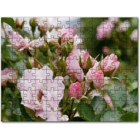 Cakapuzzle Beyaz ve Pembe Gonca Güller ve Yapraklar 120 Parça Puzzle