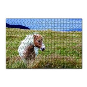 Cakapuzzle Beyaz Yeleli Midilli 120 Parça Ahşap Puzzle