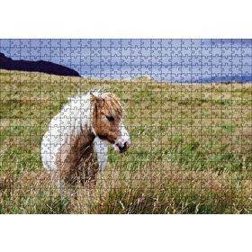 Cakapuzzle Beyaz Yeleli Midilli 120 Parça Ahşap Puzzle