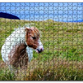 Cakapuzzle Beyaz Yeleli Midilli Ahşap 1000 Parça Puzzle