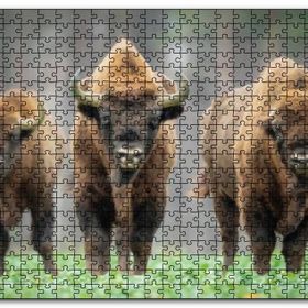 Cakapuzzle Bieszczady Bizonu Görseli Mdf 120 Parça Puzzle