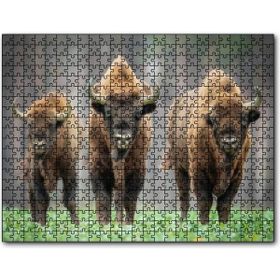 Cakapuzzle Bieszczady Bizonu Görseli Mdf 120 Parça Puzzle