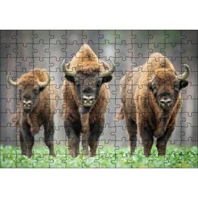 Cakapuzzle Bieszczady Bizonu Görseli Mdf 120 Parça Puzzle