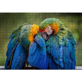 Cakapuzzle Bir Çift Mavi Macaw Papağanı Mdf 500 Parça Puzzle